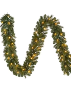Home Accents Holiday 9 ft Prelit Wesley Garland