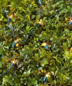 Home Accents Holiday 150L Clear Incandescent Mini Net Lights -Home Accents Holiday Shop home accents holiday christmas net lights tol 150 3wa n c 40 1000