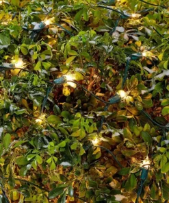 Home Accents Holiday 300L Clear Incandescent Mini Net Lights -Home Accents Holiday Shop home accents holiday christmas net lights tol 300 6wb n c 40 1000