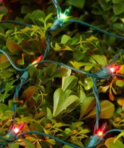 Home Accents Holiday 300L Multi Incandescent Mini Net Lights -Home Accents Holiday Shop home accents holiday christmas net lights tol 300 6wb n m a0 1000