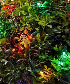 Home Accents Holiday 150L Multi Dome LED Net Lights 10 Home Accents Holiday 150L Multi Dome LED Net Lights -Home Accents Holiday Shop home accents holiday christmas net lights ty413 1615 a0 1000