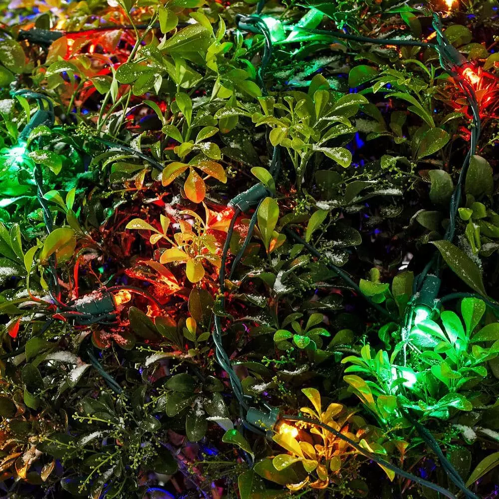 Home Accents Holiday 150L Multi Dome LED Net Lights 6 Home Accents Holiday 150L Multi Dome LED Net Lights - Image 4