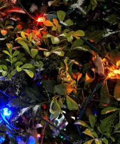 Home Accents Holiday 48 in. x 72 in. 150-Light LED Multi-Color Dome Twinkle Net Light -Home Accents Holiday Shop home accents holiday christmas net lights ty413 1615m 1d 1000