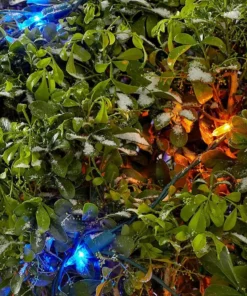 Home Accents Holiday 150L Multi Mini LED Net Lights -Home Accents Holiday Shop home accents holiday christmas net lights ty413 1615sm 1d 1000