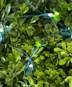 Home Accents Holiday 150L Cool White Dome LED Net Lights -Home Accents Holiday Shop home accents holiday christmas net lights ty414 1615 1d 1000