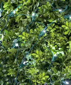 Home Accents Holiday 150L Cool White Dome LED Net Lights -Home Accents Holiday Shop home accents holiday christmas net lights ty414 1615 a0 1000