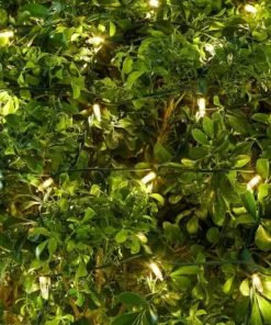 Home Accents Holiday 150L Warm White Mini LED Net Lights -Home Accents Holiday Shop home accents holiday christmas net lights ty414 1615sww 40 1000