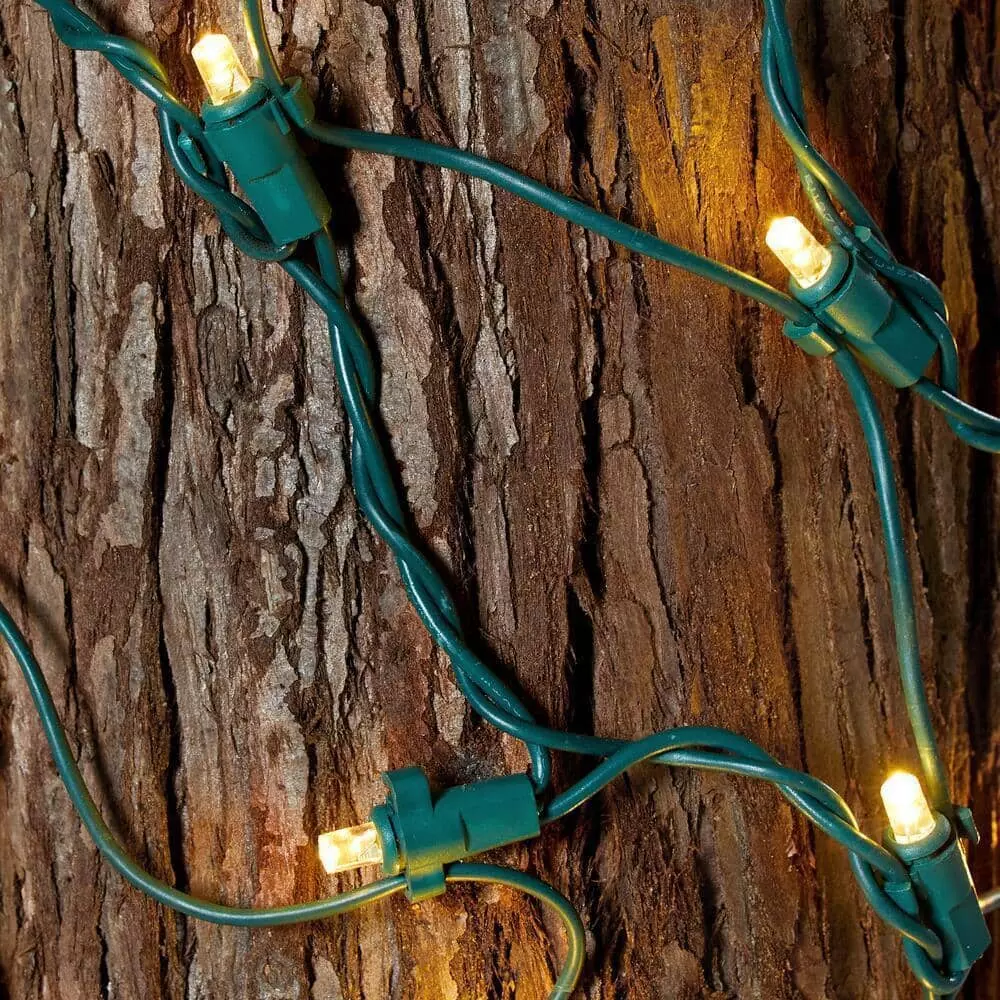 Home Accents Holiday 150L Warm White Mini LED Ribbon Net Lights 5 Home Accents Holiday 150L Warm White Mini LED Ribbon Net Lights - Image 3