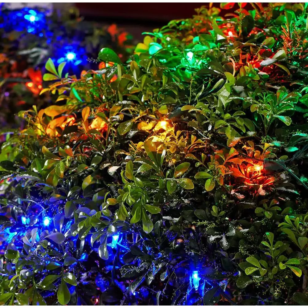 Home Accents Holiday 150L Multi Mini LED Net Steady Lit Lights 5 Home Accents Holiday 150L Multi Mini LED Net Steady Lit Lights - Image 3