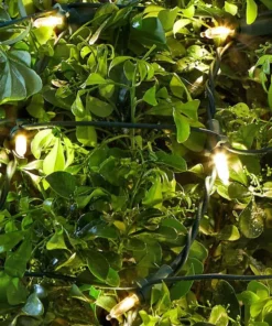 Home Accents Holiday 150L Warm White Mini LED Net Steady Lit Lights -Home Accents Holiday Shop home accents holiday christmas net lights ty630 1715ww a0 1000