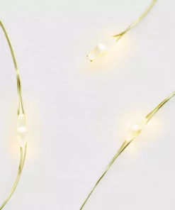 Home Accents Holiday 36-Count Warm White Micro Dot LED Gold Battery Lights -Home Accents Holiday Shop home accents holiday christmas string lights 22st00272 66 1000