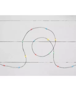 Home Accents Holiday 24L Multi Micro Dot LED Battery Lit Lights -Home Accents Holiday Shop home accents holiday christmas string lights ba05 1m008 a1 e1 1000