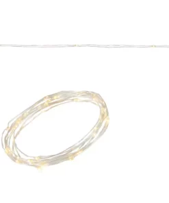 Home Accents Holiday 36L Warm White Micro Dot LED Silver Battery Lights