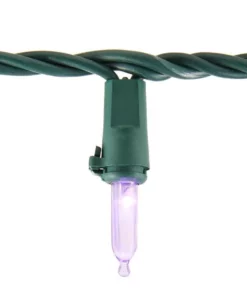 Home Accents Holiday 100L Purple Mini LED Lights -Home Accents Holiday Shop home accents holiday christmas string lights ty 100sm pus 40 1000