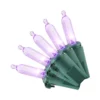 Home Accents Holiday 100L Purple Mini LED Lights -Home Accents Holiday Shop home accents holiday christmas string lights ty 100sm pus 64 1000