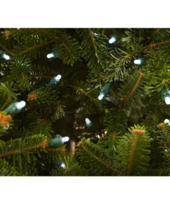 Home Accents Holiday 200L Cool White Dome LED Lights -Home Accents Holiday Shop home accents holiday christmas string lights ty 200d w 1d 1000