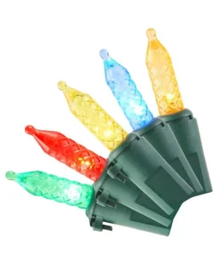 Home Accents Holiday 200L Multi Faceted M5 LED Lights