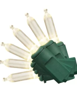 Home Accents Holiday 300L Warm White Mini LED Lights