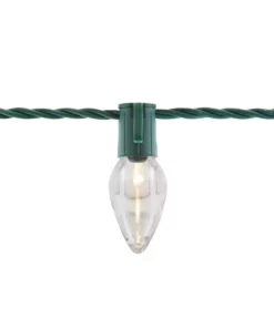 Home Accents Holiday 50L Warm White C9 LED Steady Lit Lights -Home Accents Holiday Shop home accents holiday christmas string lights ty316 1915ww a0 1000