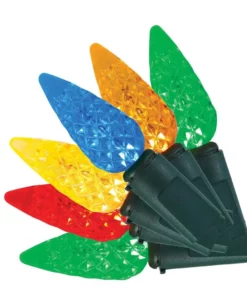 Home Accents Holiday 100L Multi Faceted C6 LED Steady Lit Lights