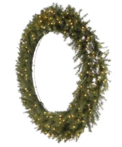 Home Accents Holiday 60 in Prelit Norwood Fir Wreath -Home Accents Holiday Shop home accents holiday christmas wreaths nf 60wlo 1d 1000