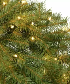 Home Accents Holiday 60 in Prelit Norwood Fir Wreath -Home Accents Holiday Shop home accents holiday christmas wreaths nf 60wlo 40 1000