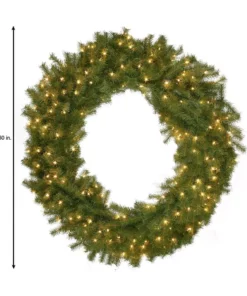 Home Accents Holiday 60 in Prelit Norwood Fir Wreath -Home Accents Holiday Shop home accents holiday christmas wreaths nf 60wlo 66 1000