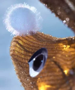 Home Accents Holiday 2.5 ft Warm White LED Little Deer Y13 Holiday Yard Decoration -Home Accents Holiday Shop home accents holiday christmas yard decorations 21rt27421141 a0 1000