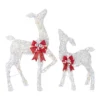 Home Accents Holiday 2-Piece Warm White LED Doe and Fawn Holiday Yard Decoration