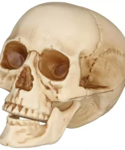 Home Accents Holiday 3-Piece Realistic Bag of Skulls -Home Accents Holiday Shop home accents holiday halloween props 7345 07967 40 1000