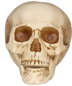 Home Accents Holiday 3-Piece Realistic Bag of Skulls -Home Accents Holiday Shop home accents holiday halloween props 7345 07967 a0 1000