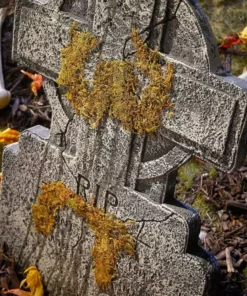 Home Accents Holiday 2 ft RIP Cross Styrofoam Tombstone 10 Home Accents Holiday 2 ft RIP Cross Styrofoam Tombstone -Home Accents Holiday Shop home accents holiday halloween yard decorations 22sv23561 a0 1000