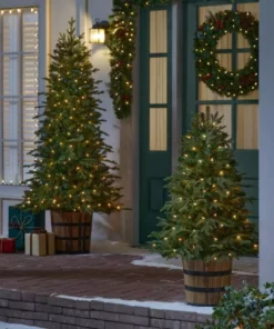 Home Accents Holiday 4 ft Fraser Fir Whiskey Barrel Potted -Home Accents Holiday Shop home accents holiday outdoor christmas trees 22gr00215 1d 1000