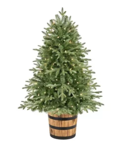 Home Accents Holiday 4 ft Fraser Fir Whiskey Barrel Potted