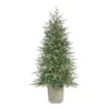 Home Accents Holiday 4.5 ft Grand Fir Potted Christmas Tree -Home Accents Holiday Shop home accents holiday outdoor christmas trees 22gr00218 64 1000