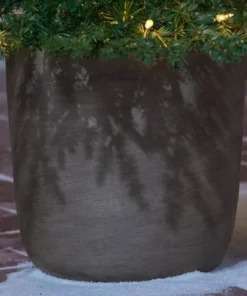 Home Accents Holiday 4.5 ft Grand Fir Potted Christmas Tree -Home Accents Holiday Shop home accents holiday outdoor christmas trees 22gr00218 a0 1000