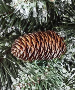 Home Accents Holiday 6 ft Sparkling Amelia Potted Christmas Tree 11 Home Accents Holiday 6 ft Sparkling Amelia Potted Christmas Tree -Home Accents Holiday Shop home accents holiday outdoor christmas trees 22pg90183 40 1000