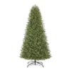 Home Accents Holiday 9 ft Jackson Noble Fir Christmas Tree 2 Home Accents Holiday 9 ft Jackson Noble Fir Christmas Tree -Home Accents Holiday Shop home accents holiday pre lit christmas trees 21wl10159 64 1000