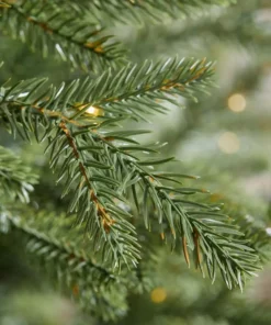 Home Accents Holiday 9 ft Jackson Noble Fir Christmas Tree -Home Accents Holiday Shop home accents holiday pre lit christmas trees 21wl10159 a0 1000