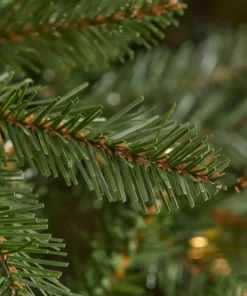 Home Accents Holiday 7.5 ft Dunland Fir Christmas Tree -Home Accents Holiday Shop home accents holiday pre lit christmas trees 22wl10102 66 1000