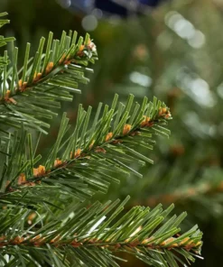 Home Accents Holiday 9 ft Dunland Fir Christmas Tree -Home Accents Holiday Shop home accents holiday pre lit christmas trees 22wl10104 66 1000