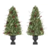 Home Accents Holiday 5 ft Woodmore Potted Christmas Tree 2-Pack 2 Home Accents Holiday 5 ft Woodmore Potted Christmas Tree 2-Pack -Home Accents Holiday Shop home accents holiday pre lit christmas trees chzh3811602t14 64 1000
