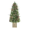 Home Accents Holiday 4.5 ft Woodmore Pine Potted Christmas Tree -Home Accents Holiday Shop home accents holiday pre lit christmas trees chzh3812070h4 64 1000