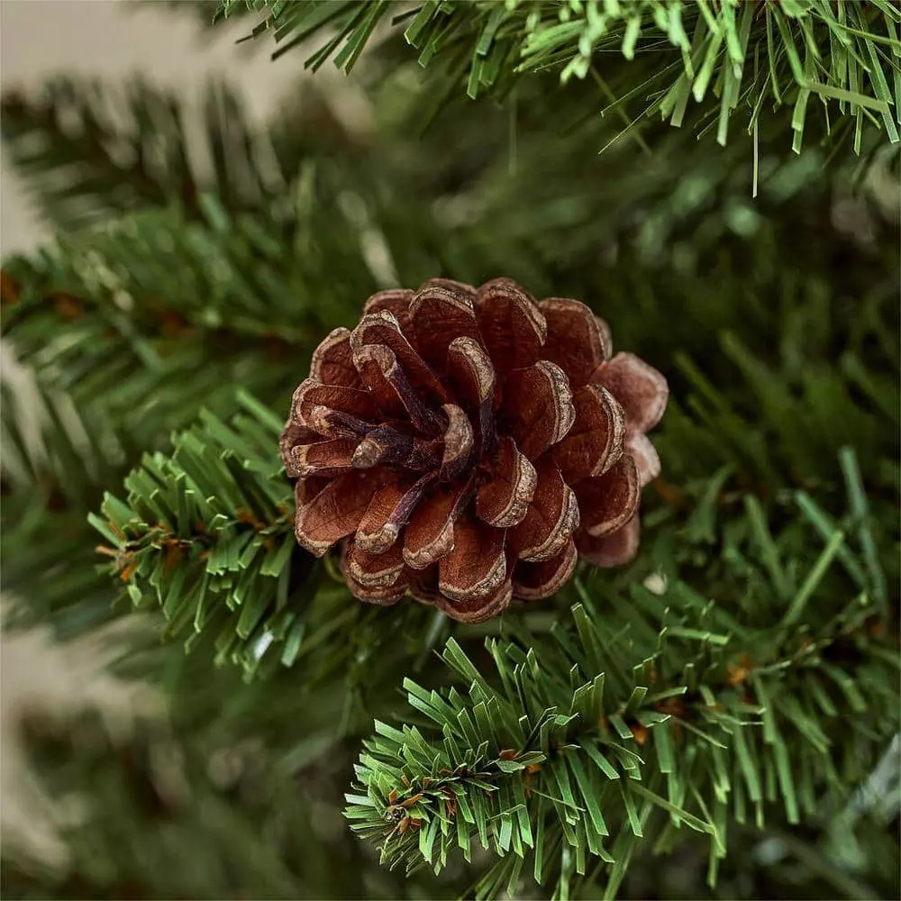 Home Accents Holiday 4 ft Montclair Spruce Potted 2-Pack 5 Home Accents Holiday 4 ft Montclair Spruce Potted 2-Pack - Image 3