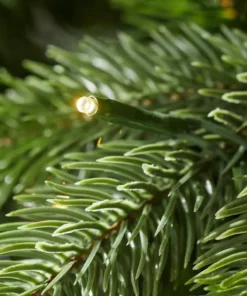 Home Accents Holiday 7.5 ft. Westwood Fir Christmas Tree 12 Home Accents Holiday 7.5 ft. Westwood Fir Christmas Tree -Home Accents Holiday Shop home accents holiday pre lit christmas trees tg76p4924l08 a0 1000