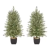 Home Accents Holiday 4 ft Potted Christmas Tree 2-Pack -Home Accents Holiday Shop home accents holiday pre lit christmas trees ty017 1717 64 1000