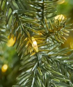 Home Accents Holiday 7.5 ft Jackson Noble Christmas Tree -Home Accents Holiday Shop home accents holiday pre lit christmas trees w14n0202 1d 1000