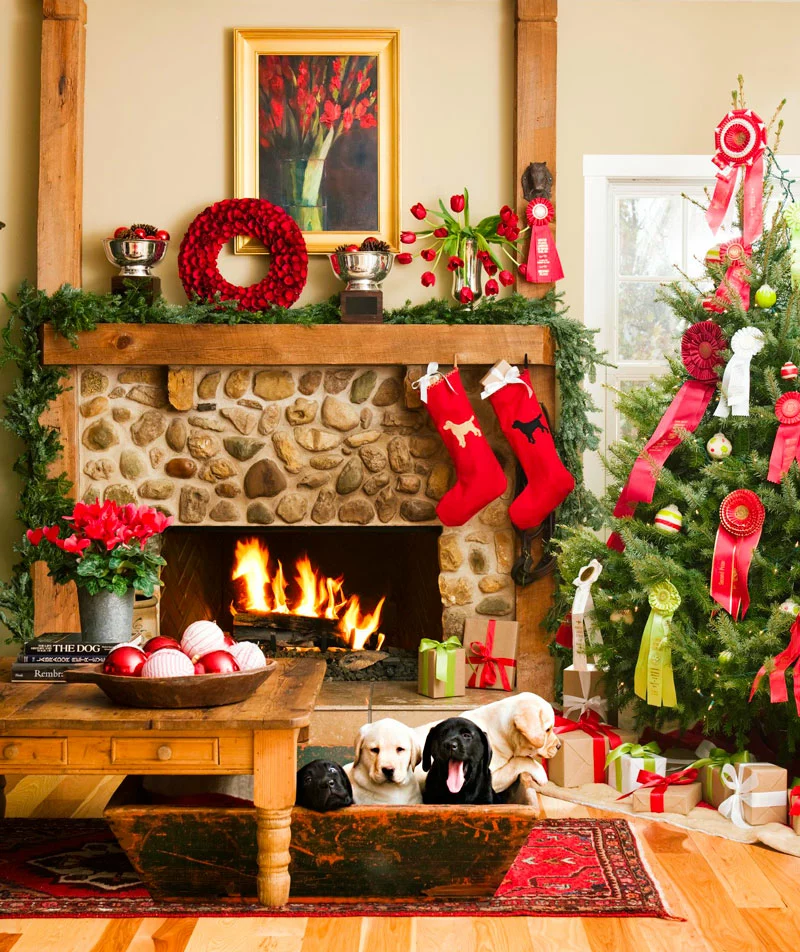 Home Accents Holiday Shop -Home Accents Holiday Shop image 1