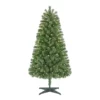 Unbranded 5 ft Woodtrail Fir Incandescent Christmas Tree -Home Accents Holiday Shop pre lit christmas trees 22gu05002 64 1000